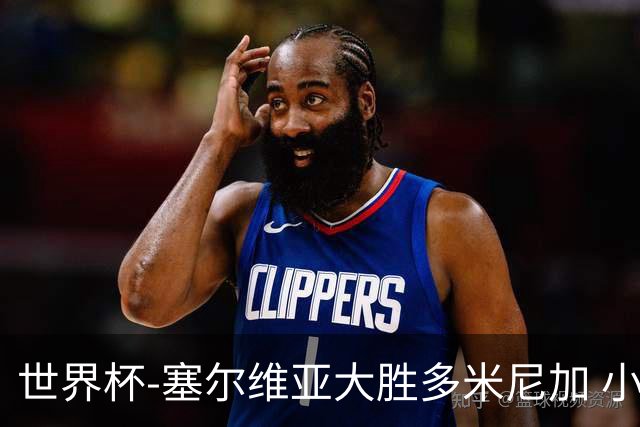 世界杯-塞尔维亚大胜多米尼加 小组第二进八强