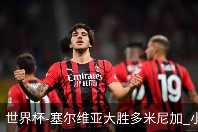 世界杯-塞尔维亚大胜多米尼加 小组第二进八强