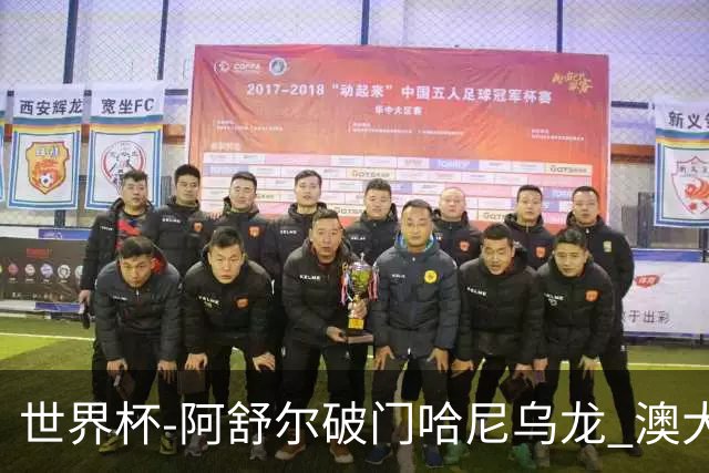 世界杯-阿舒尔破门哈尼乌龙 澳大利亚1-1埃及进加时